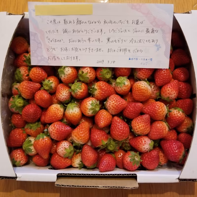 みんなの投稿の画像