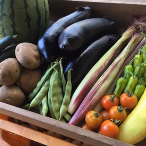 【5名限定】楽しい野菜の宝箱「やさいばこ」（旬の野菜/果物8-10品）