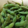 【大好評(^^♪】枝つき枝豆　“神風香”〜箱いっぱい詰めます〜