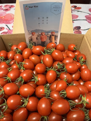 みんなの投稿の画像