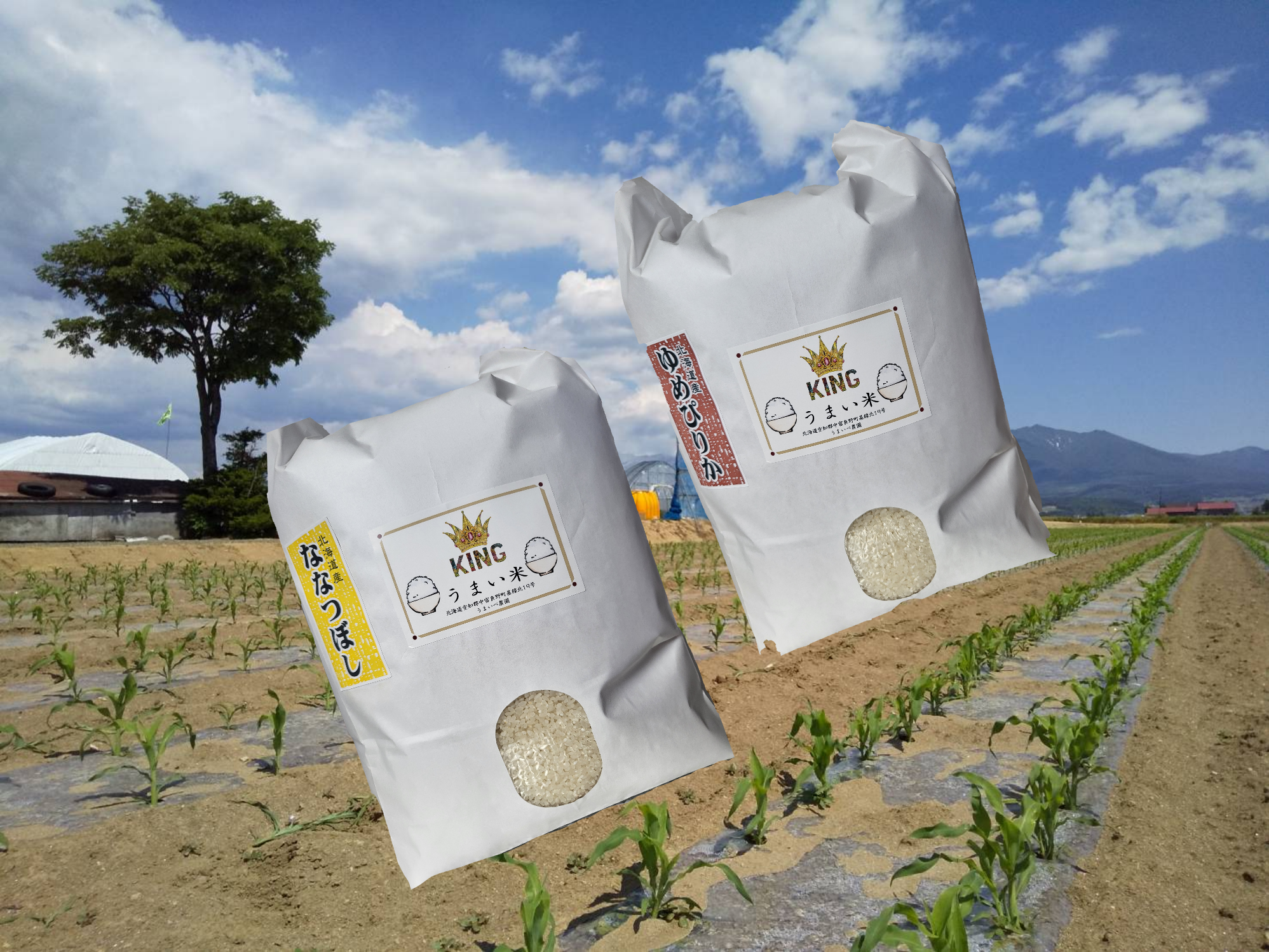 新米ゆめぴりか、ななつぼしのブレンド米10キロ｜米・穀類の商品詳細