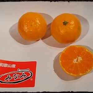 こたつみかん  和歌山みかん【向山温州】Lサイズ