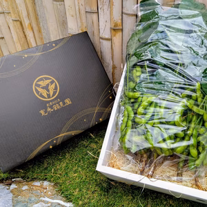 【日テレ出演で話題】糖度30度超☆湯上り娘えだまめ☆お試し約500g【6月予約】