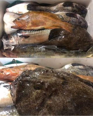 みんなの投稿の画像