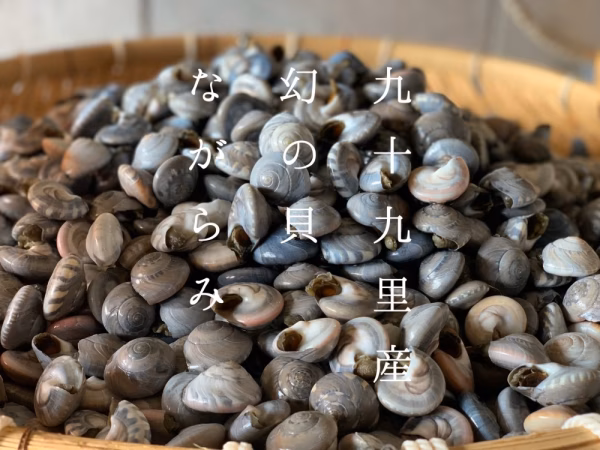 九十九里産　活ながらみ(10/20.21日発送)