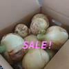 【SALE!シーズン最終】糖度11度！淡路島新玉ねぎ 5kg