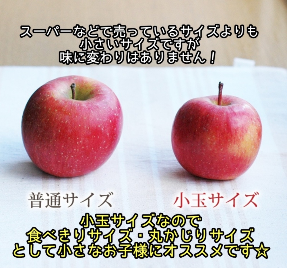 朝採れ発送 葉採らずりんご 食べきりサイズの おやつリンゴ 清明 農家漁師から産地直送の通販 ポケットマルシェ