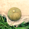 5kg自然栽培かぼちゃ食べ比べセット【数量限定】固定種　農薬不使用　野菜
