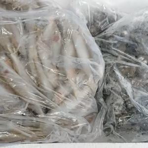 ★冷凍★ 琵琶湖産【天然】小鮎とせたしじみセット！　稚鮎・子鮎