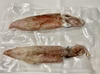 ケンサキイカ 1kg（6〜10杯）冷凍真空パック