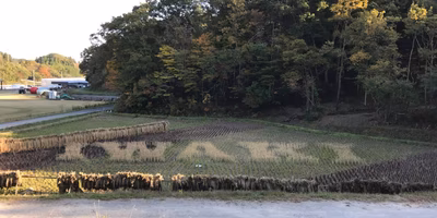 福島田んぼアートプロジェクト×イルミネーション