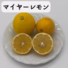 マイヤーレモン【2㎏・5㎏・10㎏】