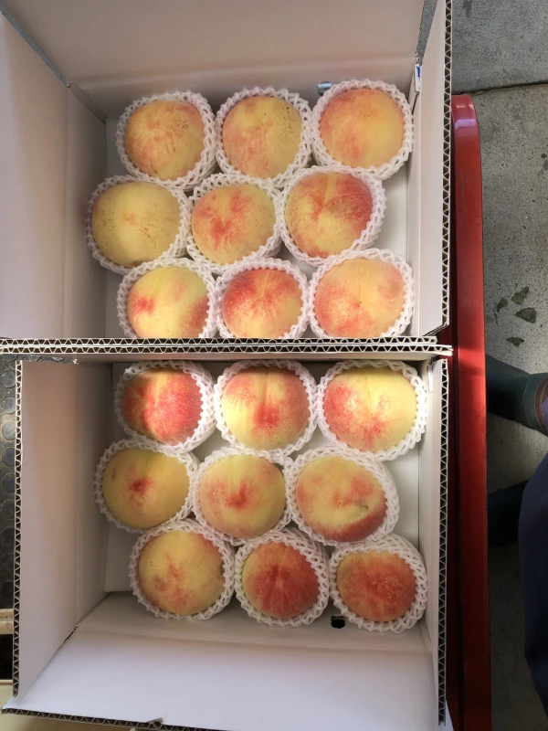 ヨシヒコの桃(白っこver.3キロ箱使用)→早生白鳳以降の品種。