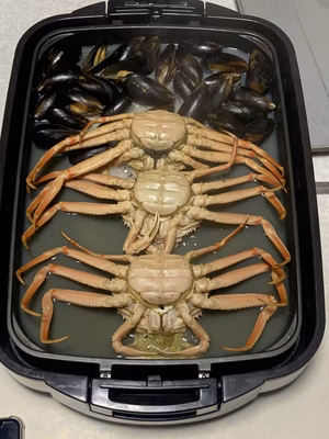 みんなの投稿の画像