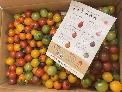 みんなの投稿の画像