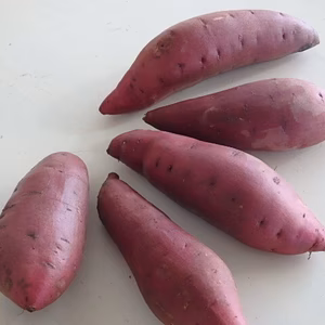 ねっとりとした食感と濃厚な甘さのさつまいも　ポッテリーナ(Ｓサイズ　５kg)