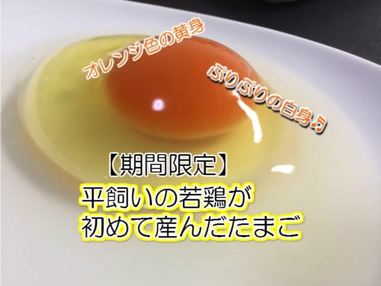 平飼い 初たまご40個 酵母の平飼い初たまご 元気たまご 40個 農家漁師から産地直送の通販 ポケットマルシェ