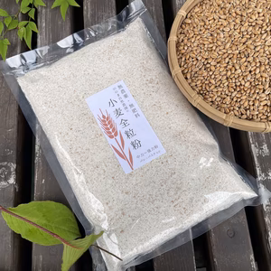 《メール便》生命力溢れる 小麦全粒粉 【無農薬・無肥料 自然栽培 天日干し】