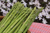 佐瀬農園の会津極上アスパラガス　細物　500g