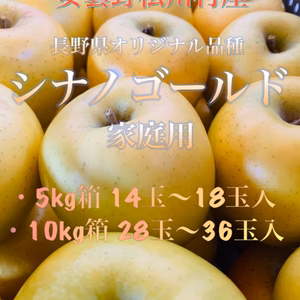 果汁たっぷり！安曇野松川村産【シナノゴールド】5kg,10kg家庭用