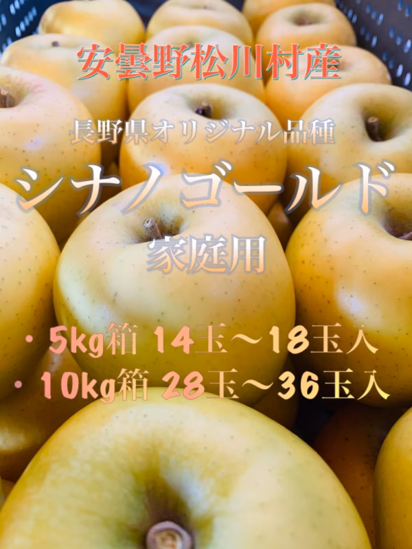 果汁たっぷり！安曇野松川村産【シナノゴールド】5kg,10kg家庭用