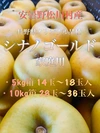 果汁たっぷり！安曇野松川村産【シナノゴールド】5kg,10kg家庭用