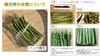 自然豊かな美祢市植柳で育てたアスパラガスパック（春芽）