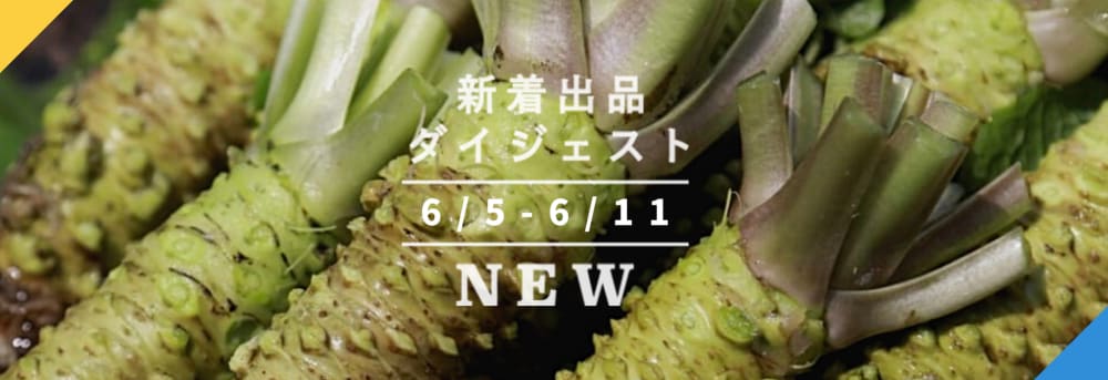 数量限定　安曇野産　規格外　生わさび　1キロ　6月14日頃発送予定