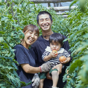 孫トマト
