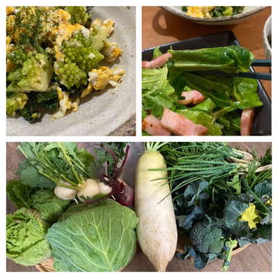 みんなの投稿の画像