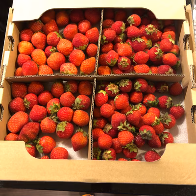 みんなの投稿の画像