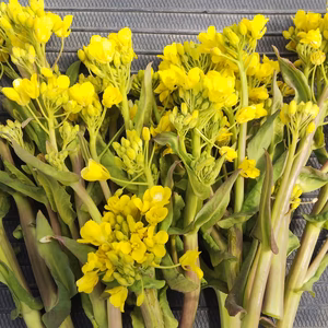 冬越え❕ 菜花＊カラフル人参＊自然薯/春の元気セット～農薬/化学肥料・不使用