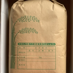 ⭐️熊本県産 お米10kg【品種:森のくまさん】