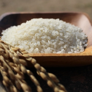 〇令和5年産特別栽培米ヒノヒカリ〇精米600ｇ～