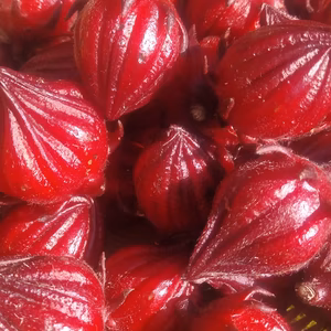 フレッシュハイビスカスローゼル