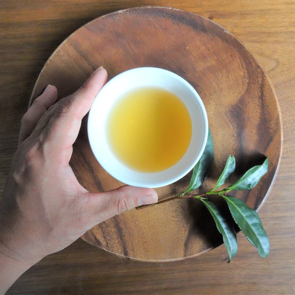 おまけ付♡2023年新茶!!　特上香ばし煎茶-晴耕雨読-農薬不使用お茶