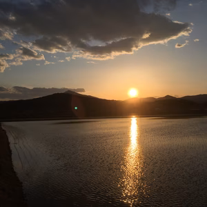 きおらさん専用野菜セット