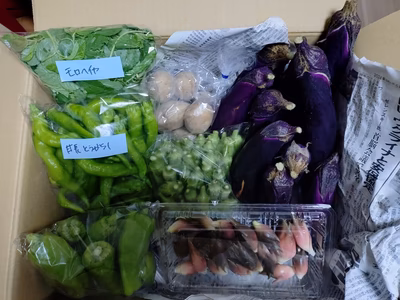 みんなの投稿の画像