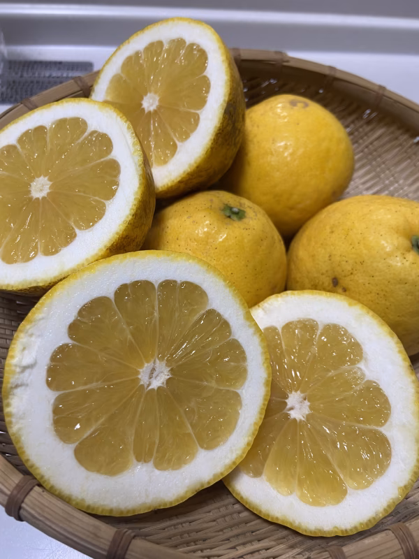 河内晩柑　【ジューシーオレンジ】