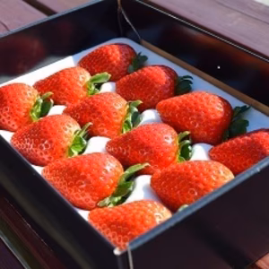 【いちごの里】とちあいか（12~15粒入）【贈答にもオススメ】