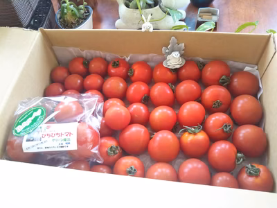 みんなの投稿の画像