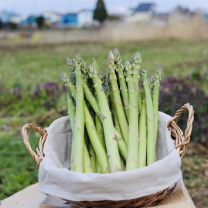 佐瀬農園の会津極上アスパラガス Lサイズ　500g