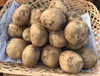 宮崎県綾町産 ホクホクじゃがいも【無農薬】
