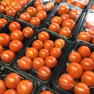 甘さしっかり水搾り　完熟フルーツトマト