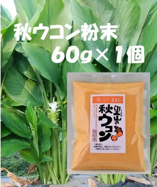 秋ウコン粉末　栽培期間中は農薬・化学肥料は使用せず　大分県産