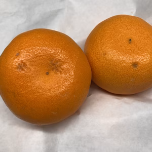 ハウスせとか　約2キロ　7個から10個