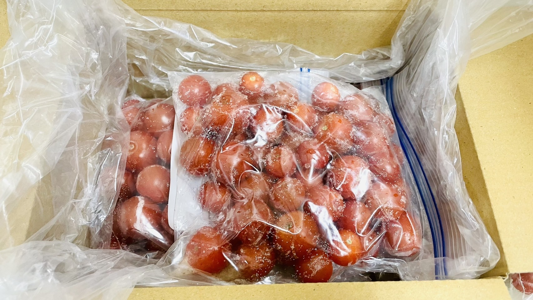 ミニトマト 熊本県産 4.5kg 国産 加工用 冷凍 業務用 割れ ヘタなし ソ