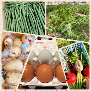 【茨城生産者コラボ】言の葉コラボセット 11月号！【茨城の美味いもん】