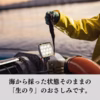 【2024年度】【超希少】【有明海産・生海苔】おさしみ海苔（佐賀のり）
