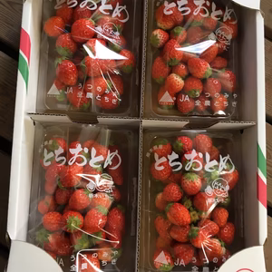  ジャム用苺超小粒4パック入り